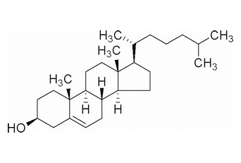 胆固醇 CAS：57-88-5 中药对照品标准品